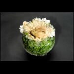 Gold Rock 8x6x6 in.jpg